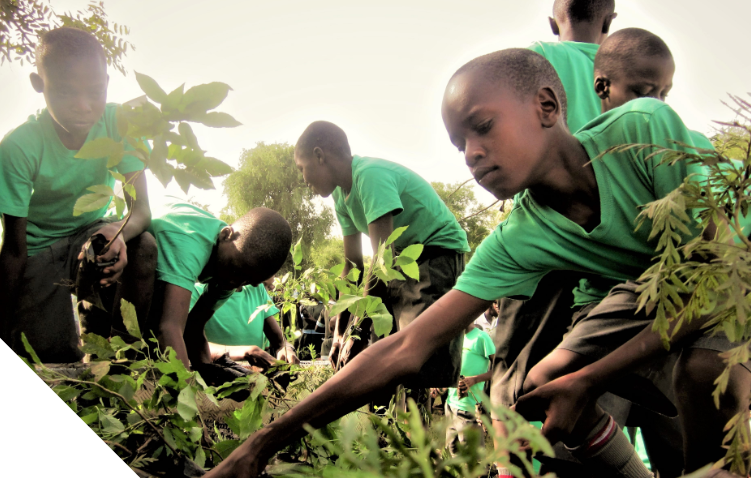 tree planting