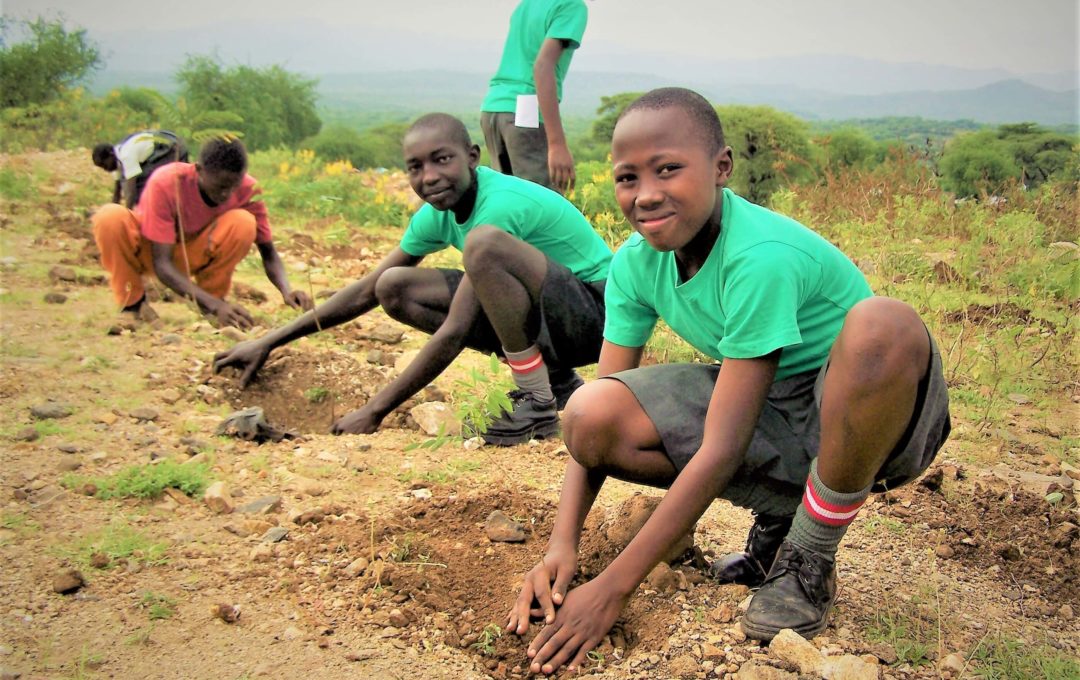 Out community planting