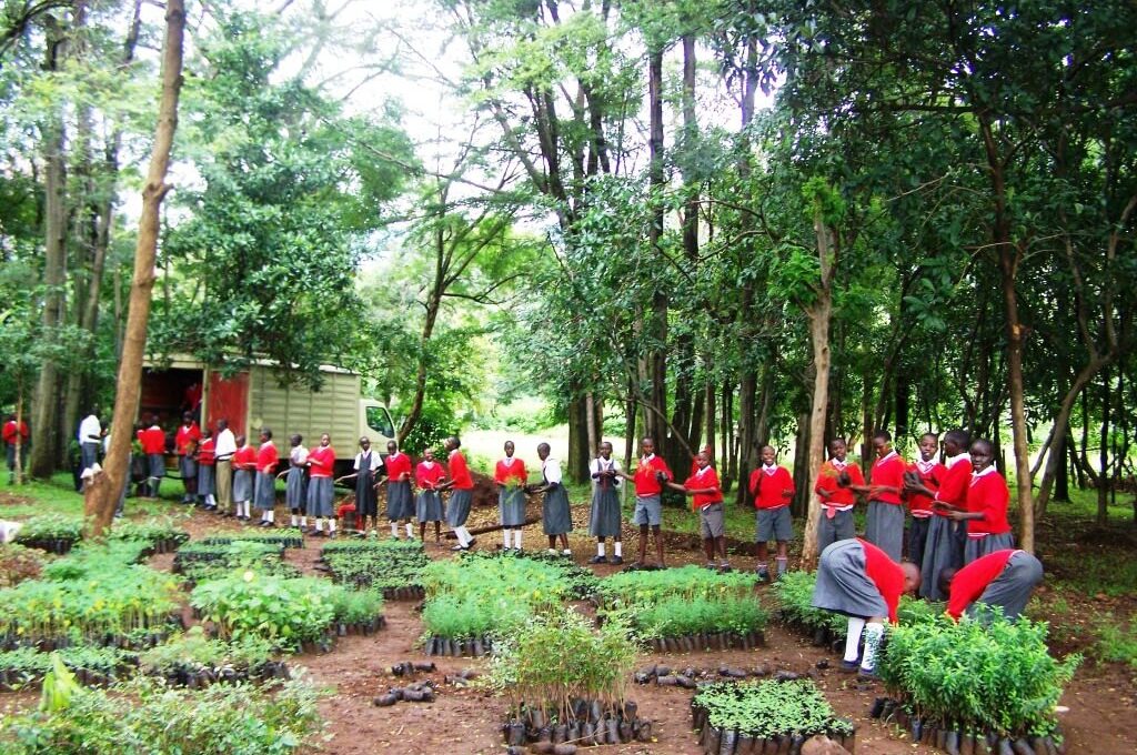 Our community gardening