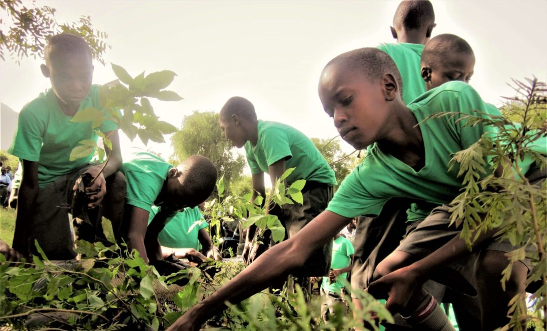 Kids planting trees