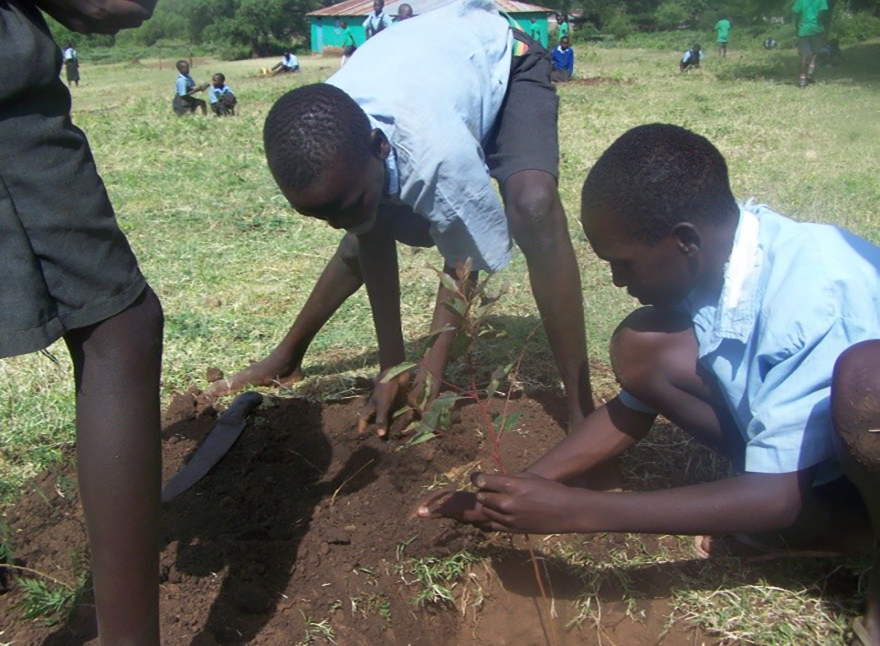 Planting trees on Environment Day